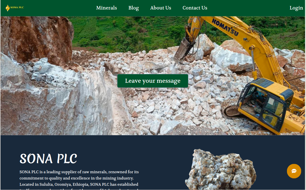 Web development services in Addis Ababa